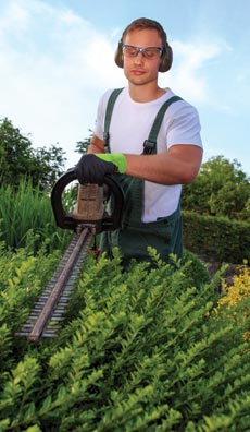 Best Landscapers