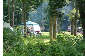 Ebys-Pines-Campsite-by-the-woods-330x220-copy.jpg