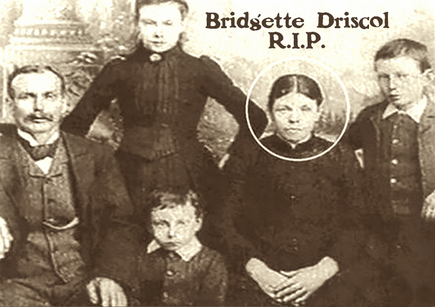 1896-Bridgette_Driscoll.jpg