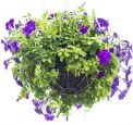 Tips-For-Planting-Spring-Flower-Gardens-UI_4b65d8906beccd9f832347623d1bfe6f.jpg